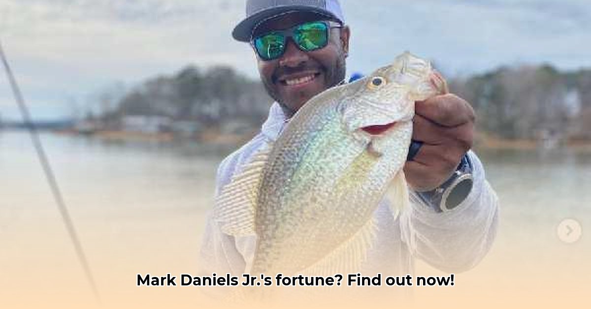 mark-daniels-jr-net-worth